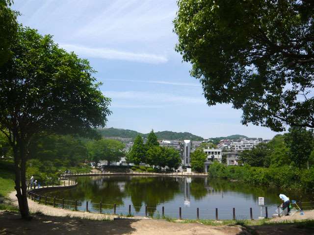 樋之池公園の写真