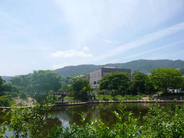樋之池公園の写真