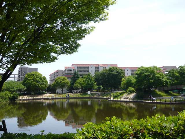 樋之池公園の写真