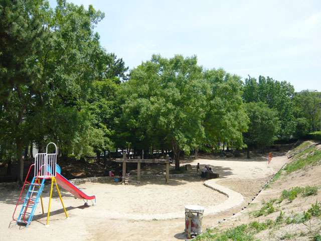 樋之池公園の写真