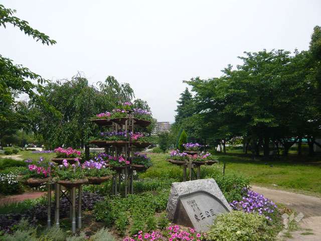東三公園の写真