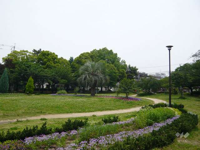 東三公園の写真