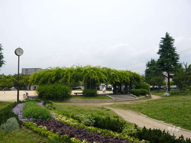 東三公園の写真