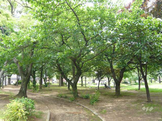 東三公園の写真