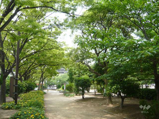 浜戎公園の写真