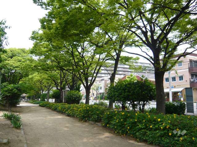 浜戎公園の写真