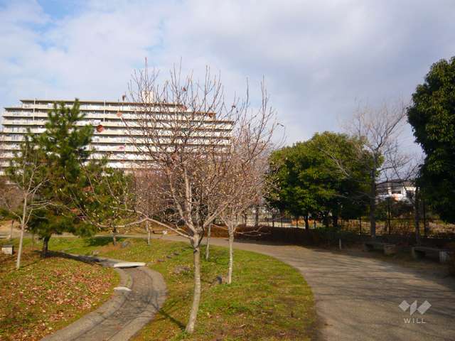 十六名公園の写真