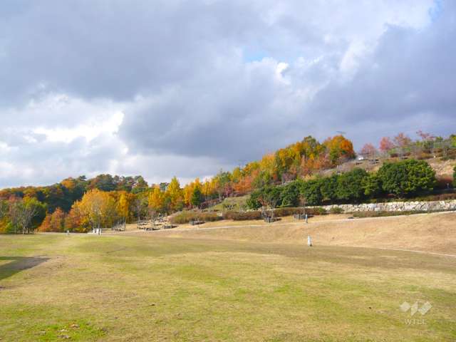 塩瀬中央公園の写真