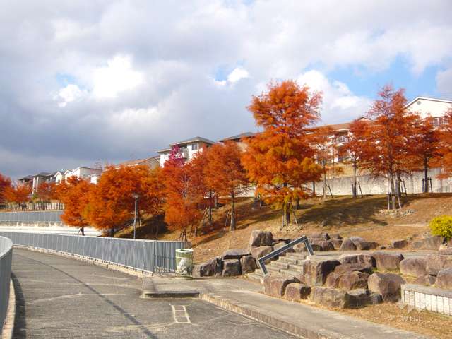 塩瀬中央公園の写真