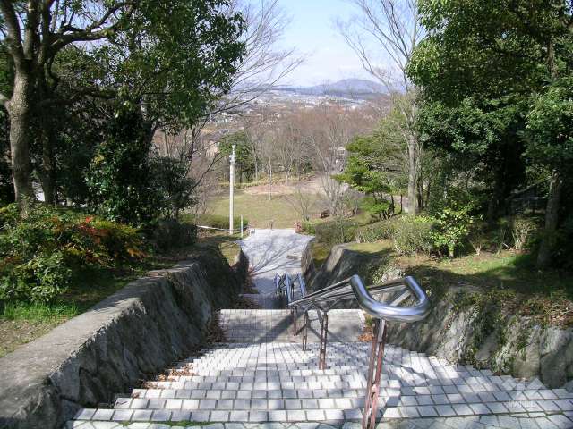 北ひばりがおか公園の写真