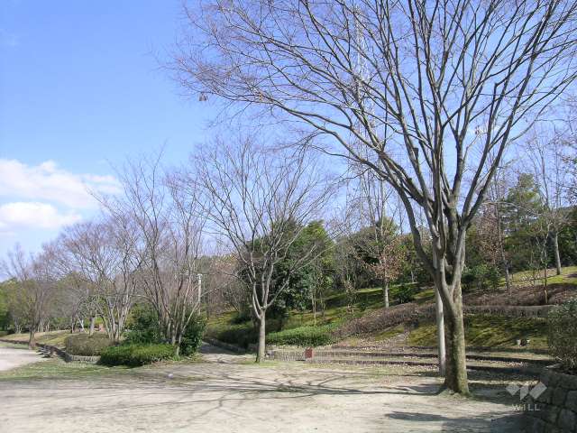北ひばりがおか公園の写真