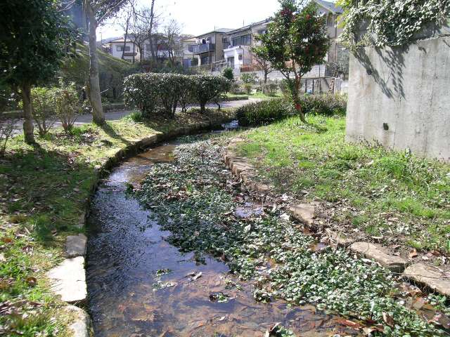 北ひばりがおか公園の写真