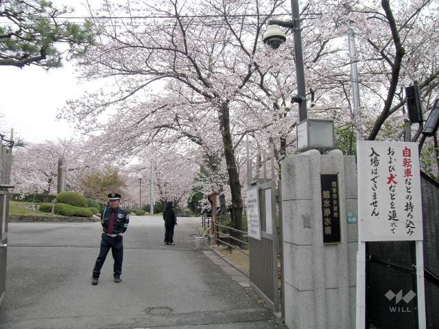 越水浄水場(さくらの通り抜け)の写真