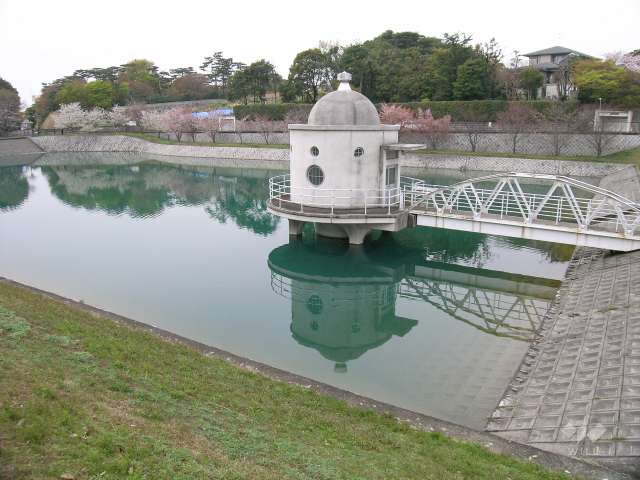 越水浄水場(さくらの通り抜け)の写真