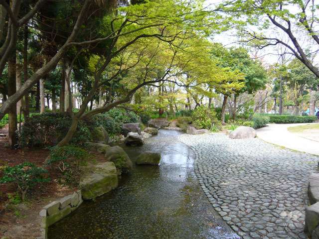 近松公園の写真