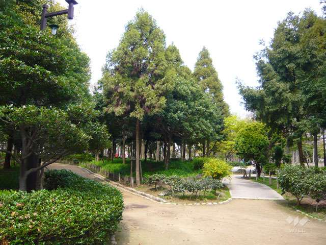 近松公園の写真