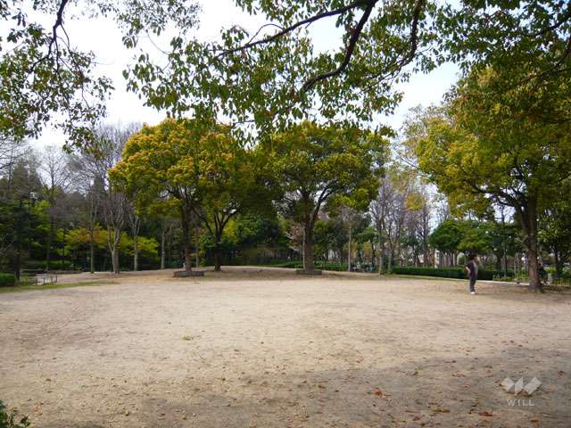 近松公園の写真