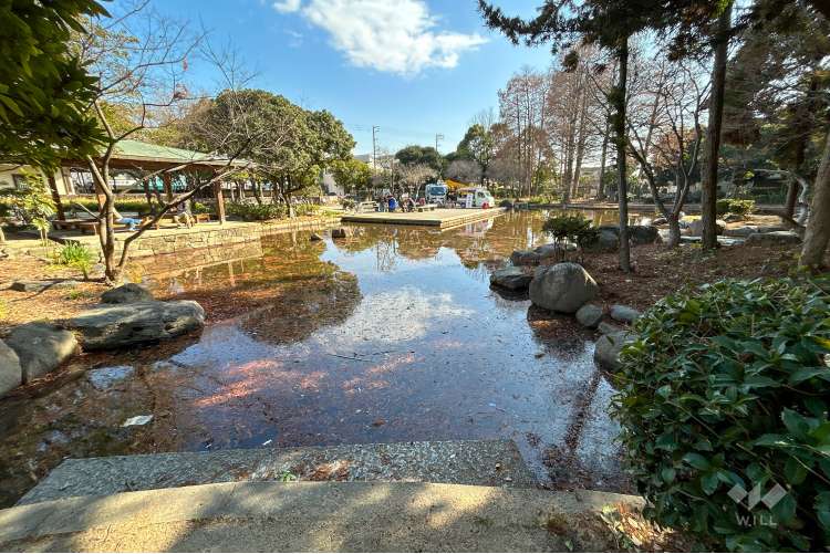 近松公園の写真