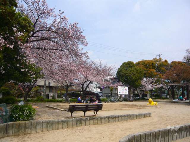 若王寺公園の写真
