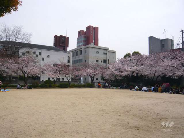 若王寺公園の写真