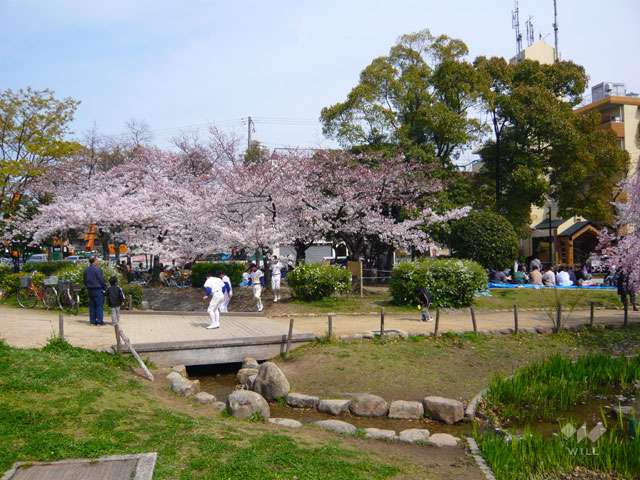 尾浜公園の写真