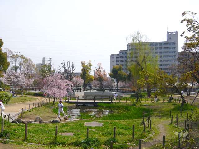 尾浜公園の写真