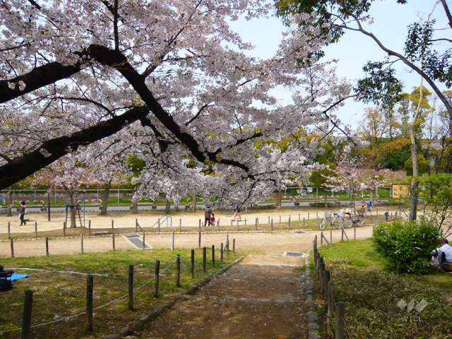 尾浜公園の写真
