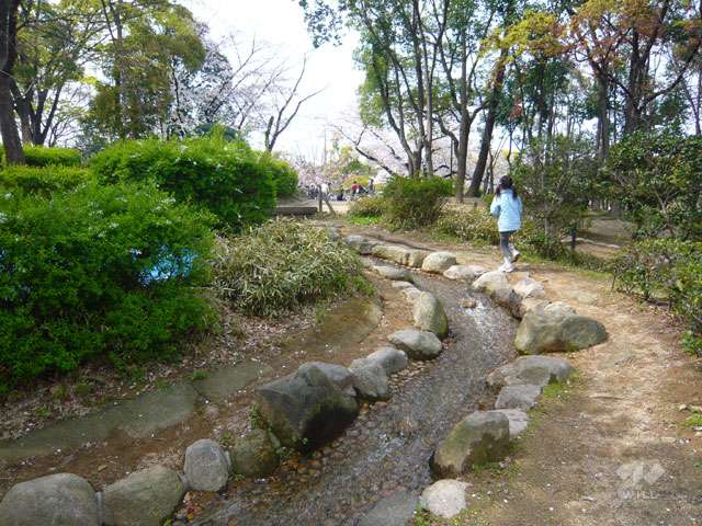 尾浜公園の写真