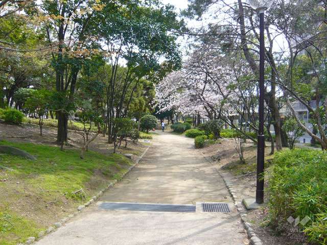 尾浜公園の写真
