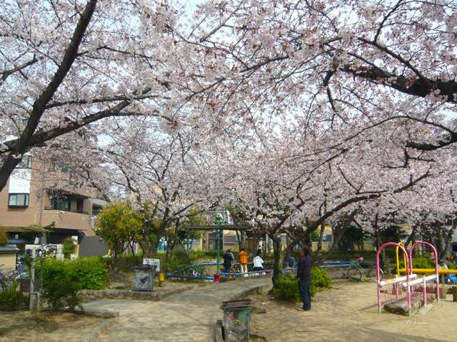 申田公園の写真