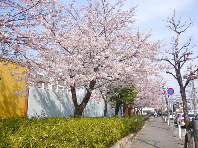 北雁替公園の写真