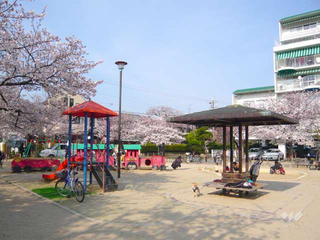 生津公園の写真