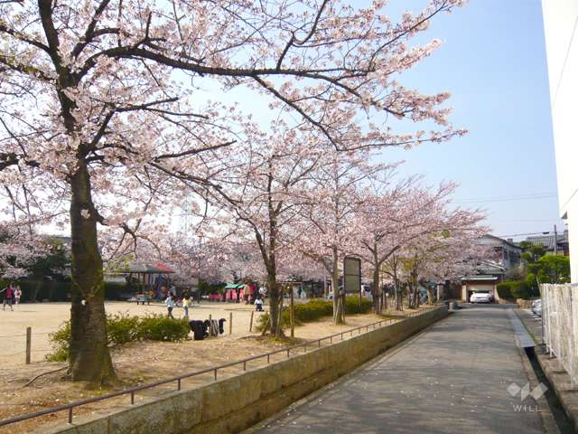 生津公園の写真