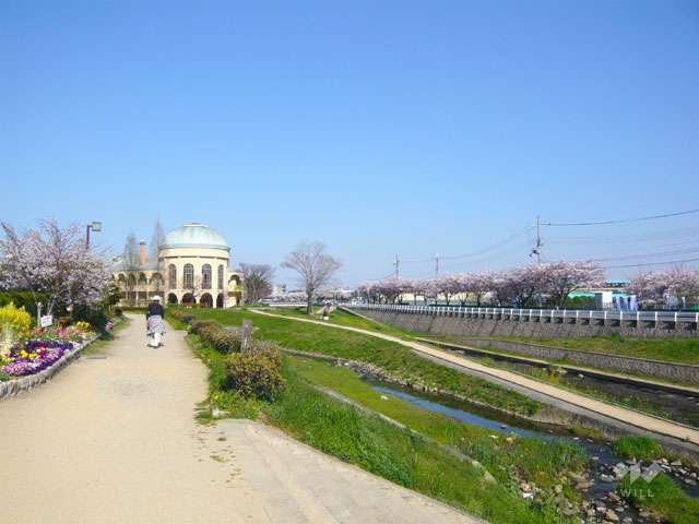 天神川遊歩道の写真