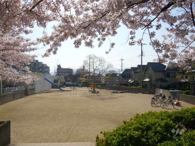 天神川遊歩道の写真