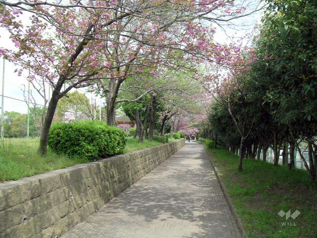 西脇公園の写真