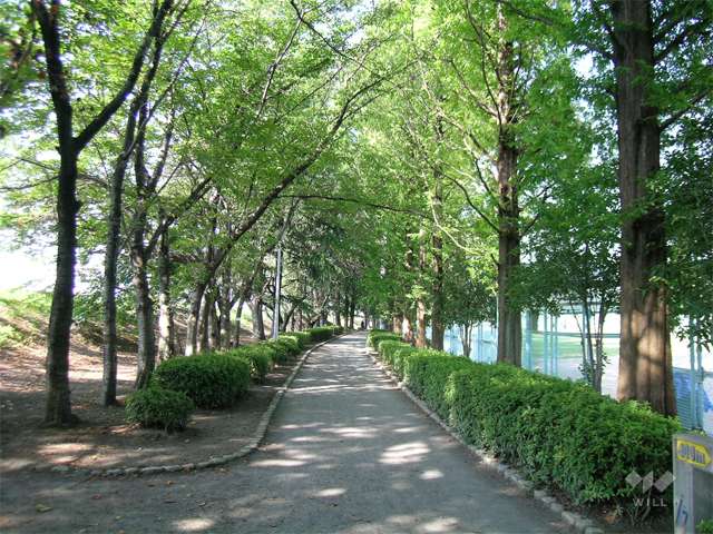 中の島公園の写真