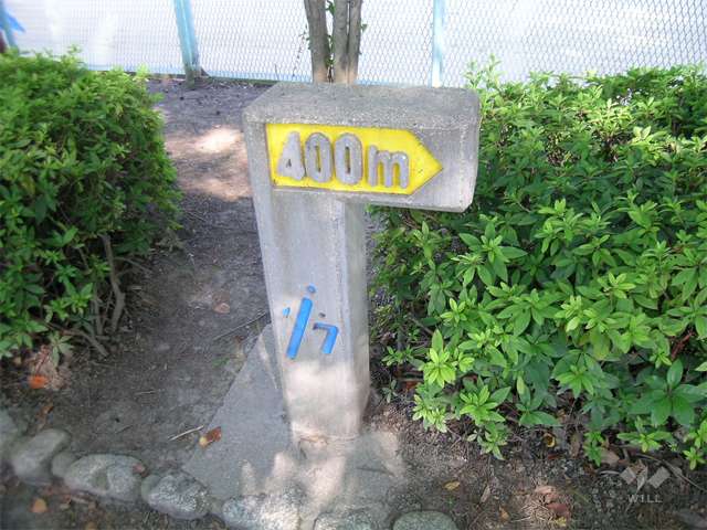 中の島公園の写真