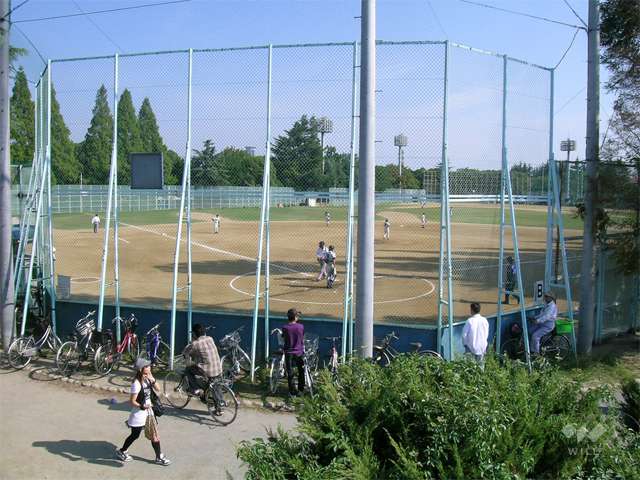 中の島公園の写真