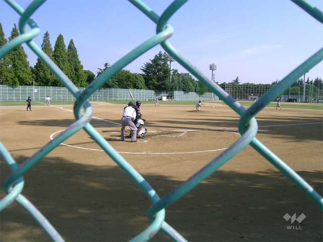 中の島公園の写真