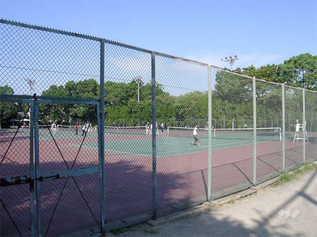 中の島公園の写真