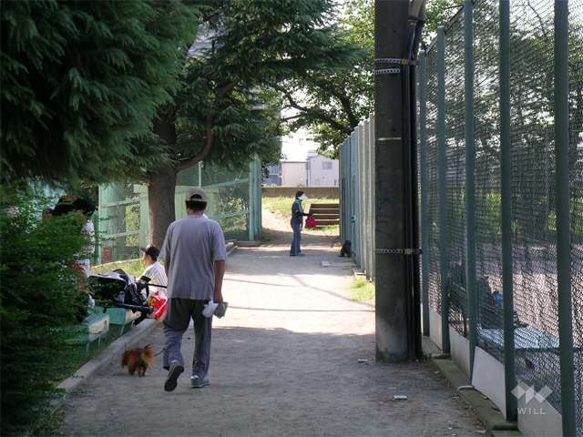 中の島公園の写真