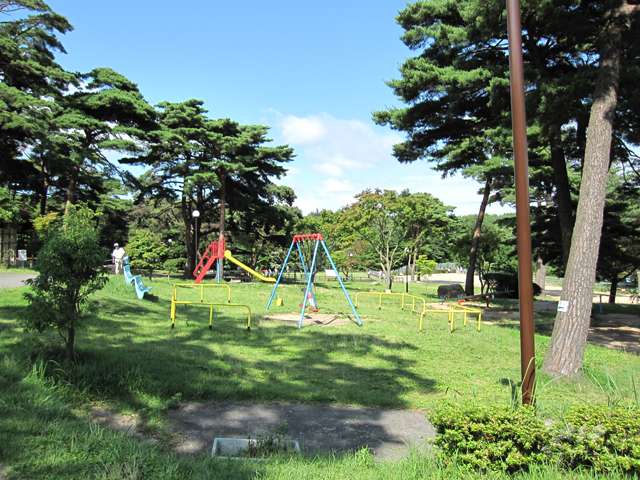 奥池遊びの広場の写真