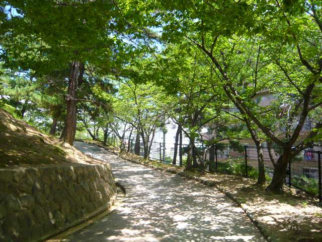 朝日ケ丘公園の写真