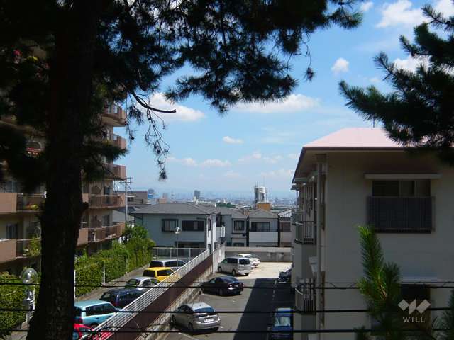朝日ケ丘公園の写真