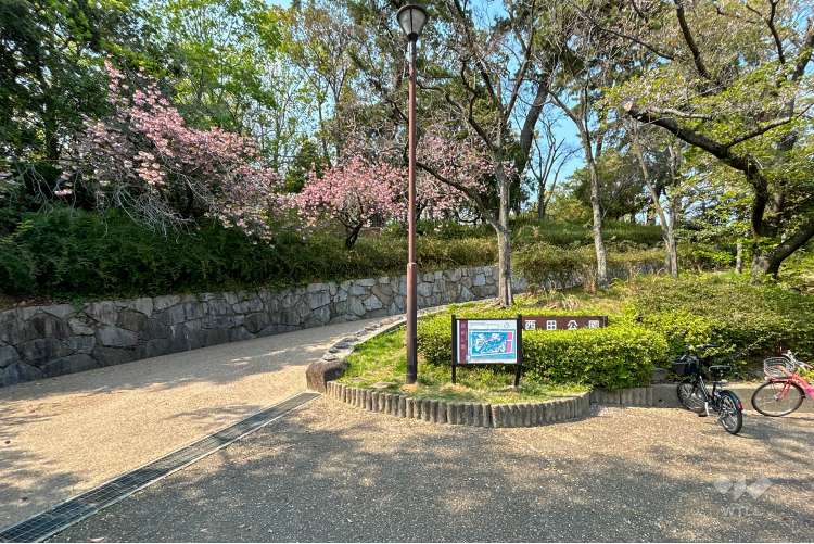 西田公園の写真