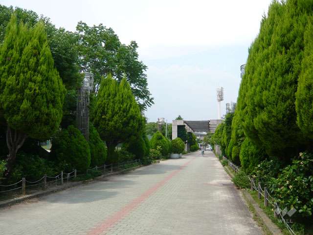 西宮中央運動公園の写真