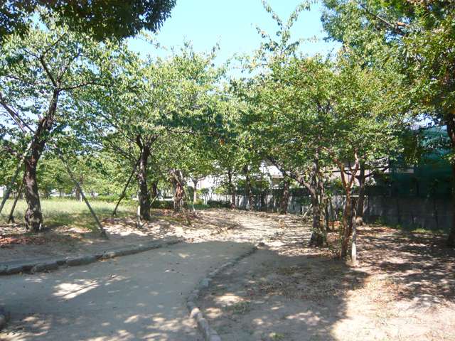 椀田公園の写真