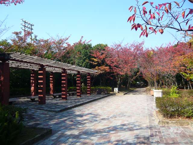 鳴尾浜臨海公園(北地区)の写真