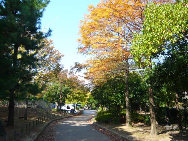 鳴尾浜臨海公園(北地区)の写真